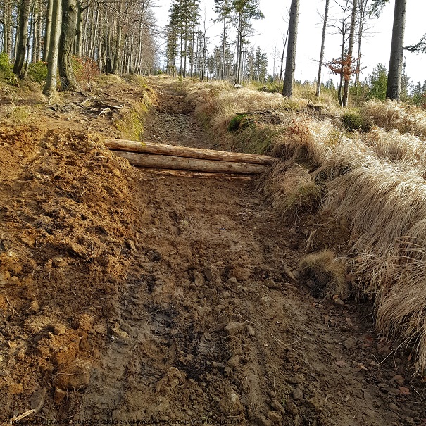 Zabudowa szlaku zrywkowego L. Malinka oddz.144 po realizacji