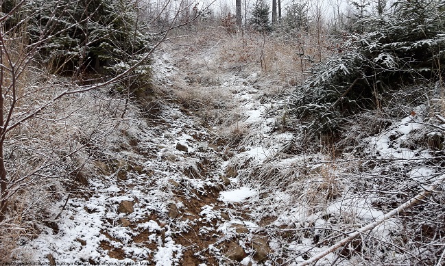 Zabudowa szlaku zrywkowego L. Malinka oddz.114 i 115 przed realizacją