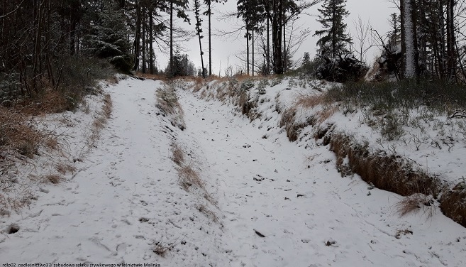 Zabudowa szlaku zrywkowego L. Malinka oddz.144 przed realizacją