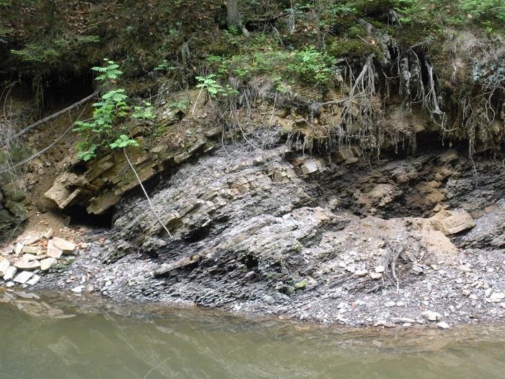 Flisz karpacki nad rzeką Olzą