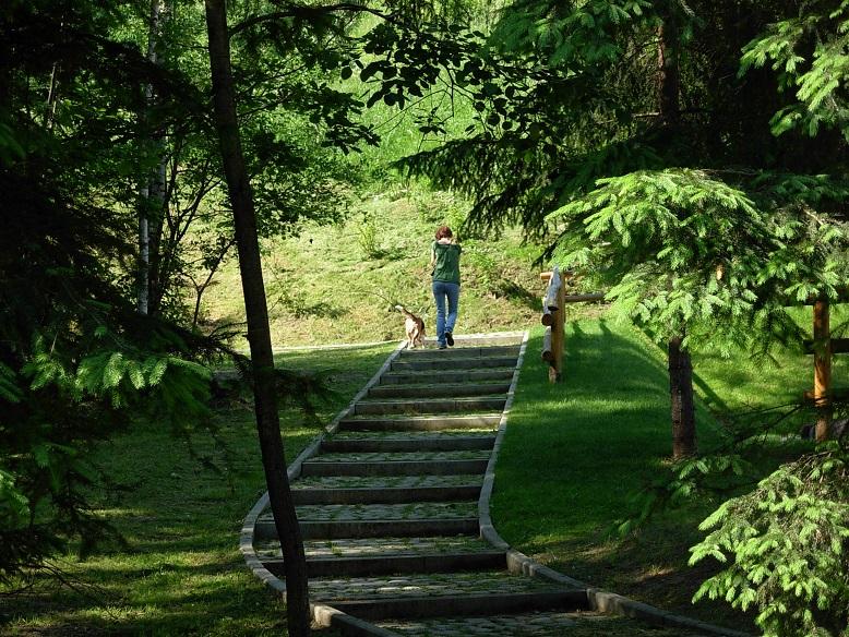 Sieć ścieżek w Ogrodzie Roślin zachęca do spacerów
