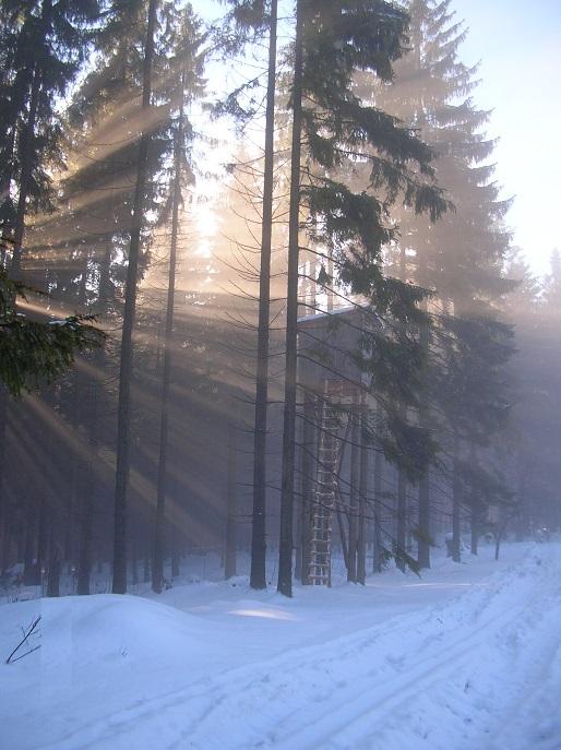 Ambona - urządzenie łowieckie