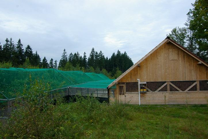 Woliera Adaptacyjna z wybiegiem