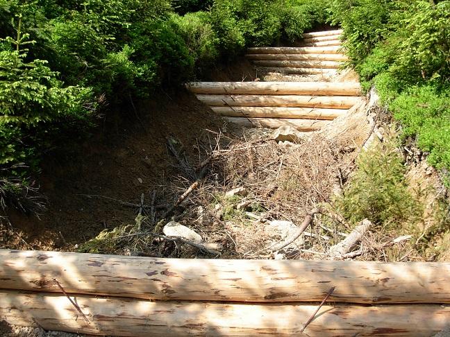 Likwidacja szlaku zrywkowego w Leśnictwie Malinka