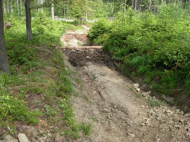Likwidacja szlaku zrywkowego w Leśnictwie Zapowiedź