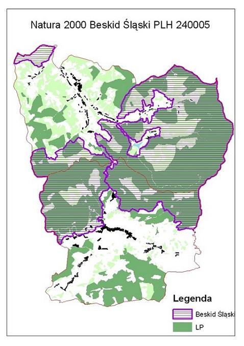Zasięg terytorialny SOO Natura 2000 Beskid Śląski na terenie Nadleśnictwa Wisła