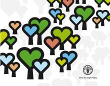Międzynarodowy Dzień Lasów 21 marca