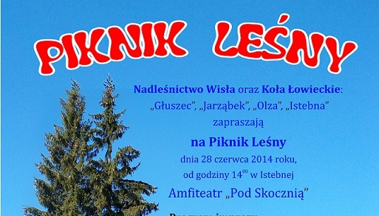 Piknik&#x20;Leśny&#x20;2014