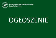 Prace leśne na terenie obszaru Zanocuj w lesie