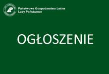 Prace leśne na terenie obszaru Zanocuj w lesie