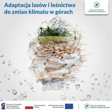 Adaptacja lasów i leśnictwa do zmian klimatu w górach