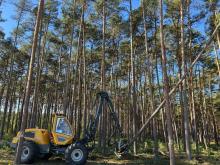 Ogłoszenie postępowania w Dynamicznym Systemie Zakupów