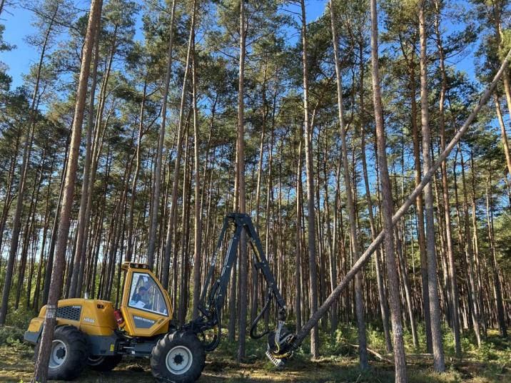 Dynamiczny System Zakupów