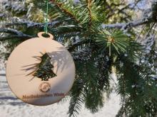 SPRZEDAŻ CHOINEK W 2025 ROKU