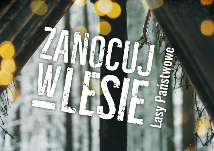 Logo programu Zanocuj w lesie